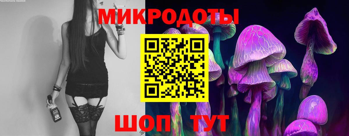 Псилоцибиновые грибы Magic Shrooms  Вход с VPN  Черняховск 